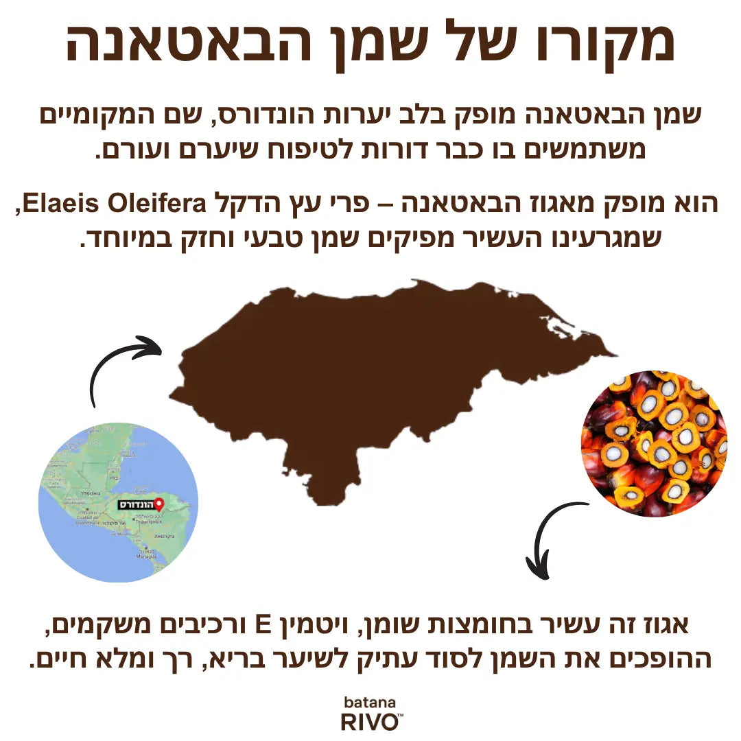 שמן באטאנה טבעי לצמיחת שיער